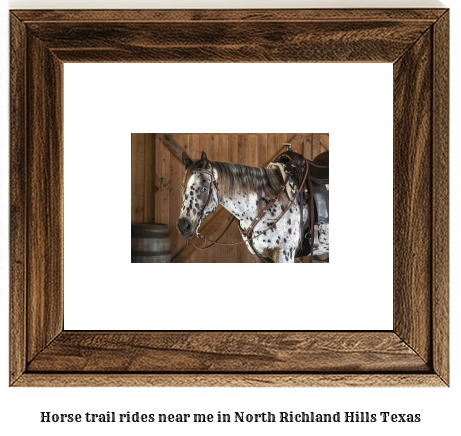 horse trail rides near me in North Richland Hills, Texas